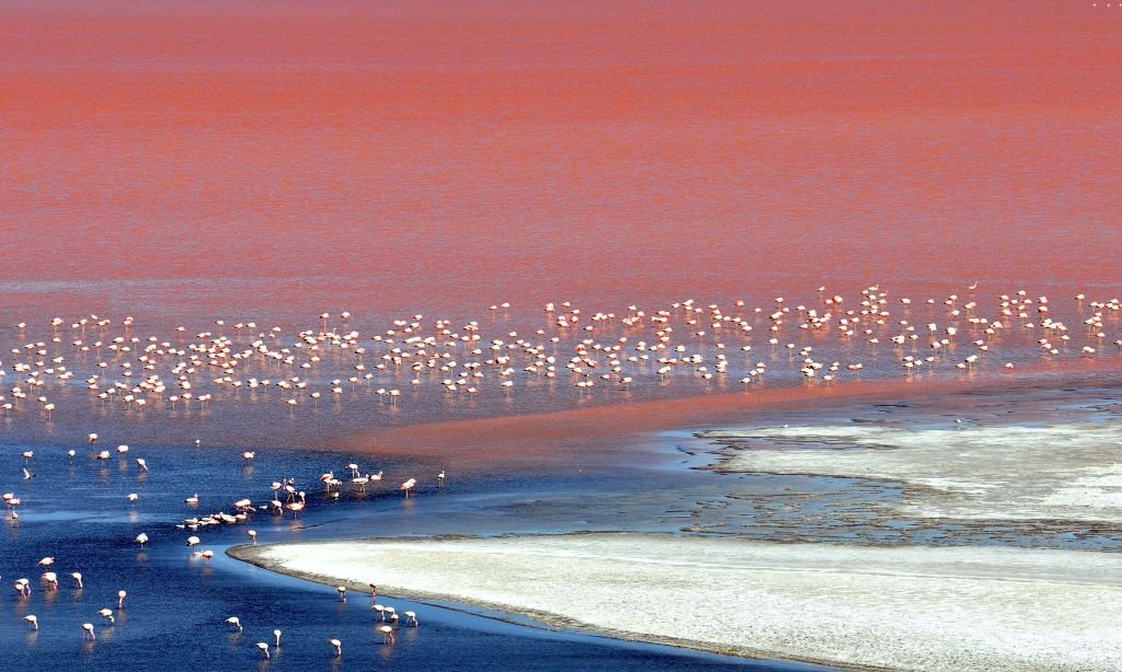 Salar de Uyuni, Bolivia.