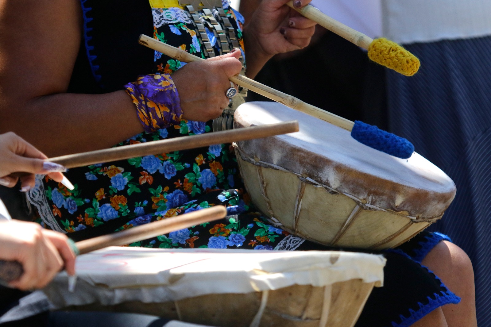 Pueblo mapuche