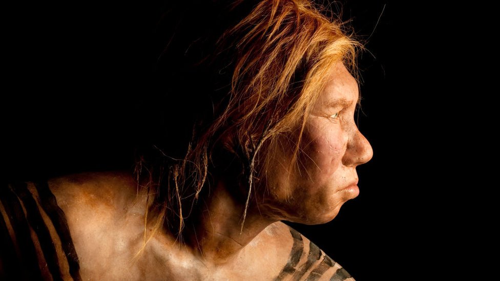 Recreación del rostro de una mujer neandertal