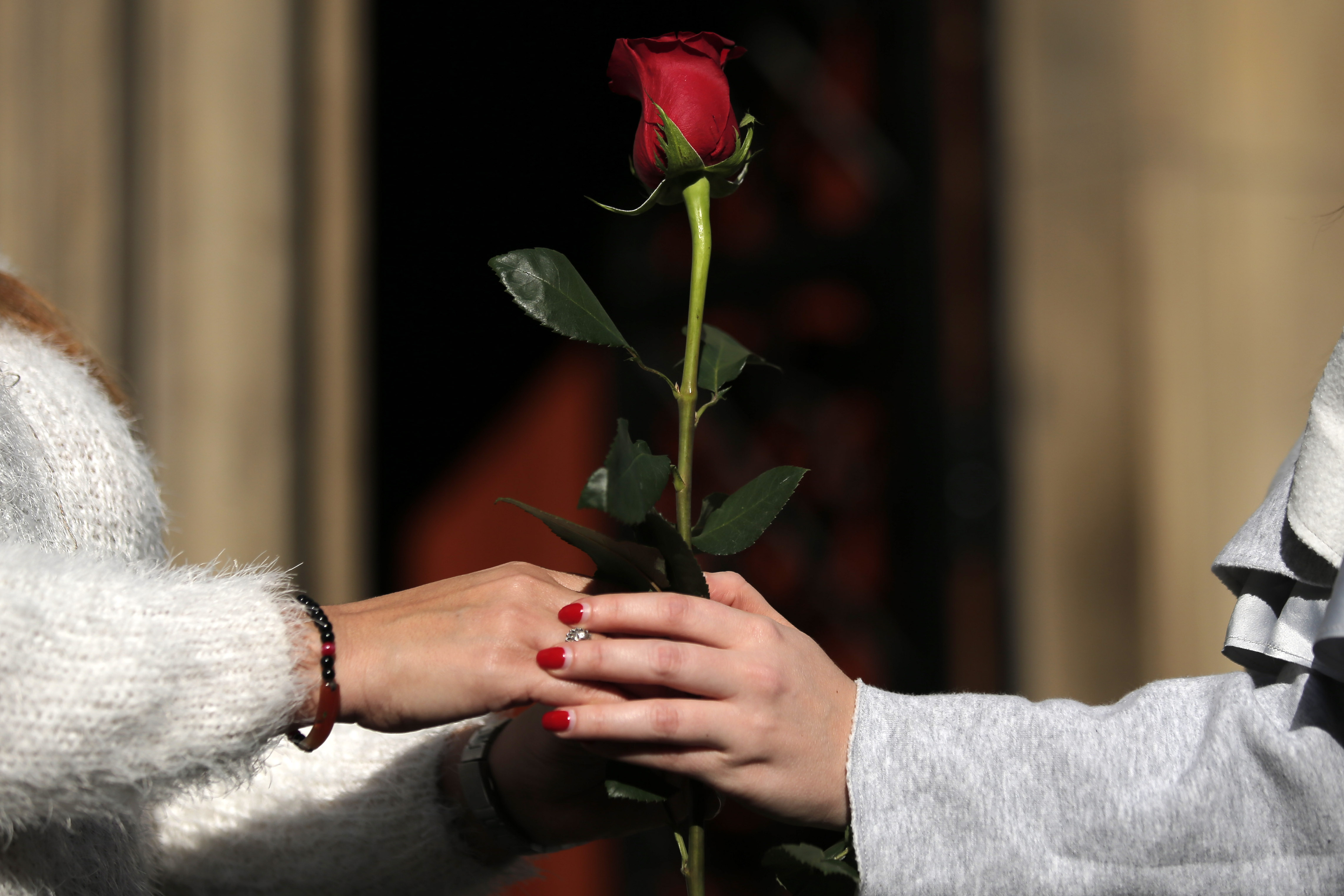 Manos sujetando una rosa