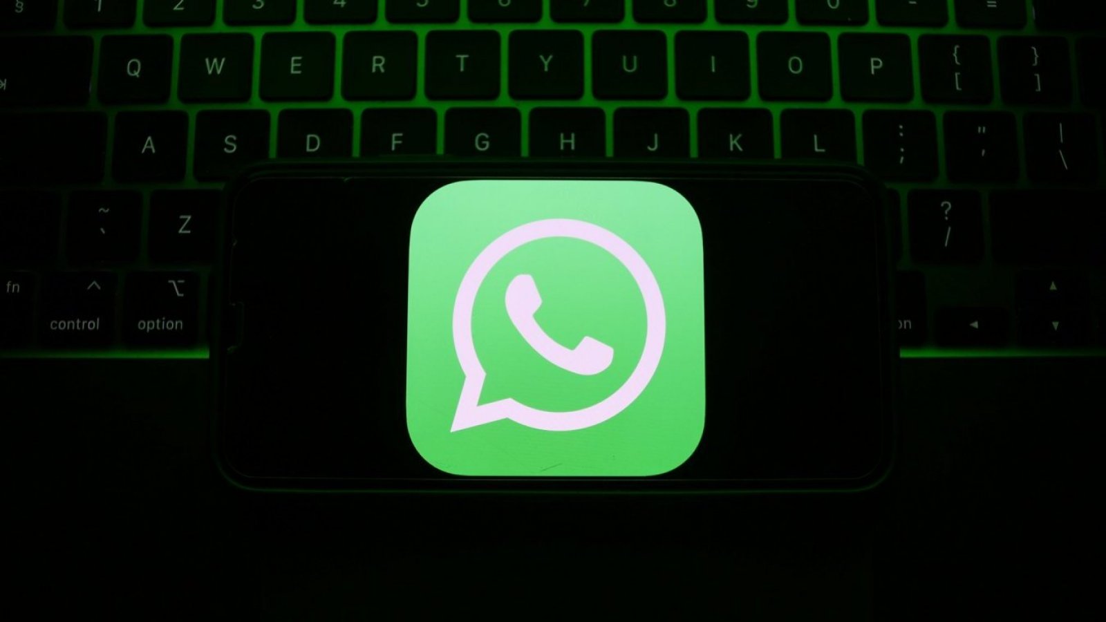 WhatsApp Beta: conoce más sobre esta plataforma y cómo instalarla