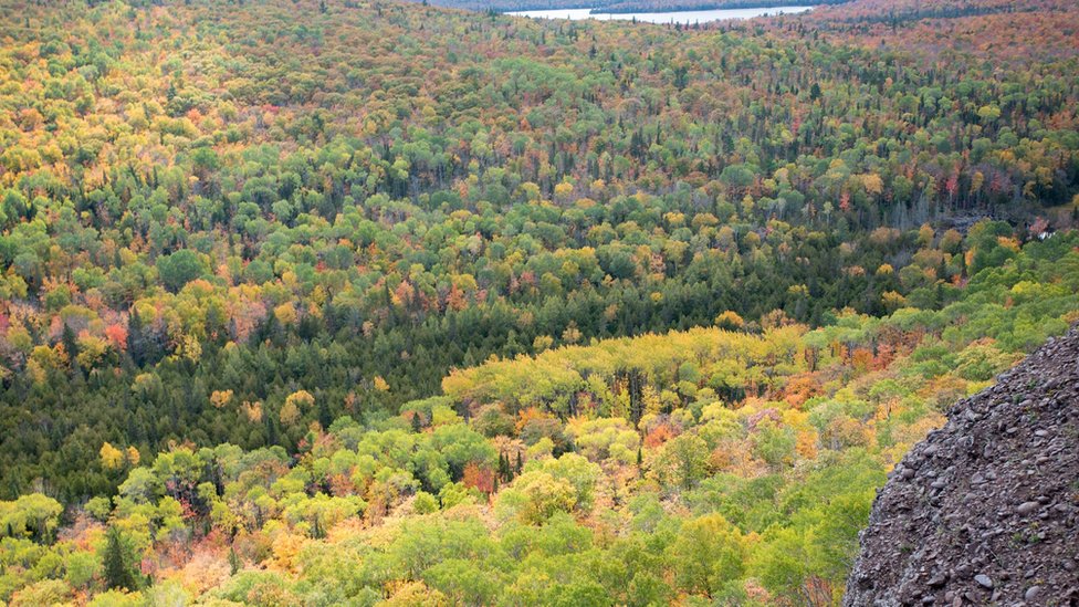 Parque Estatal de Porcupine Mountains