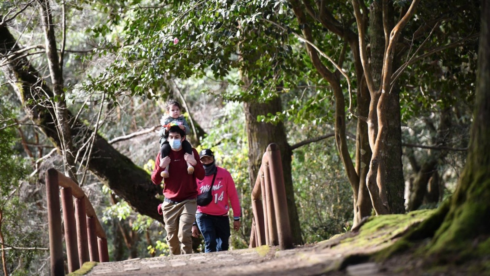 Familia caminando por un bosque.