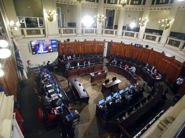 Pleno de la Comisión Experta