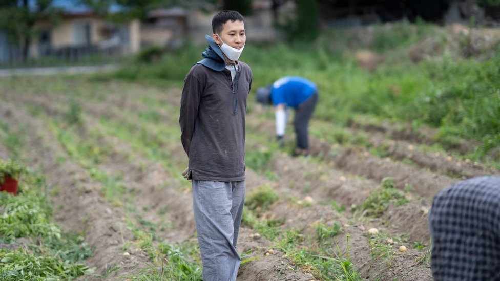 Park Tae Hong en un cultivo