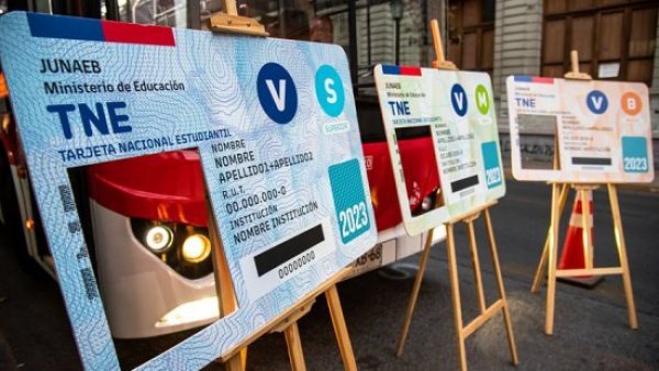 Estudiantes aún no revalidan la Tarjeta Nacional Estudiantil (TNE)