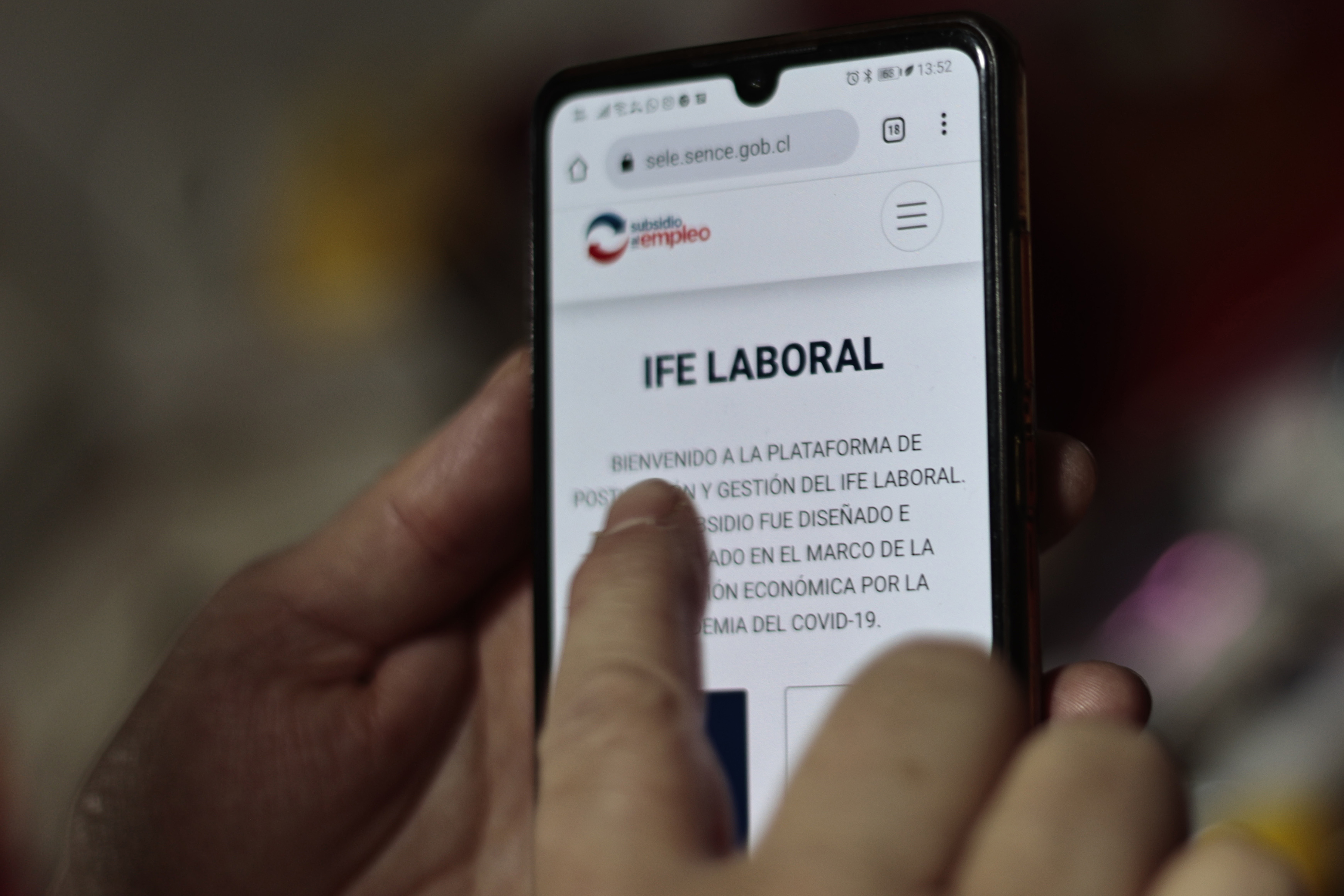 Persona revisando el IFE laboral en un celular.