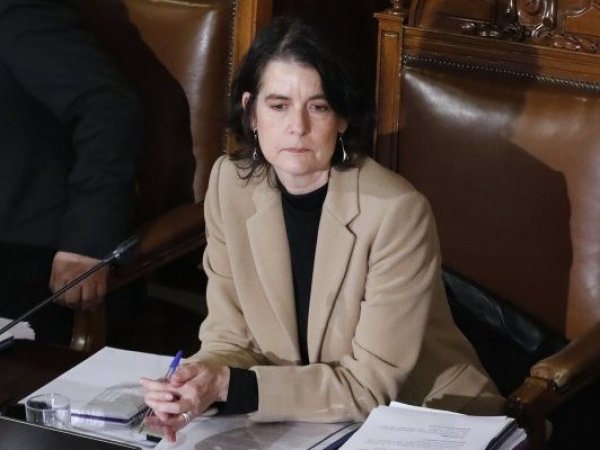 Verónica Undurraga, presidenta de Comisión Experta.