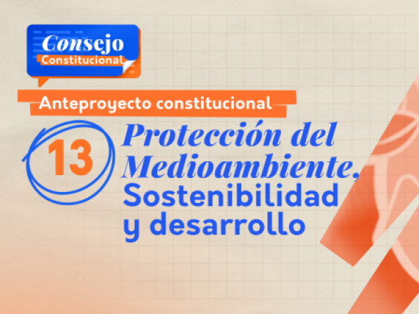 Anteproyecto constitucional.
