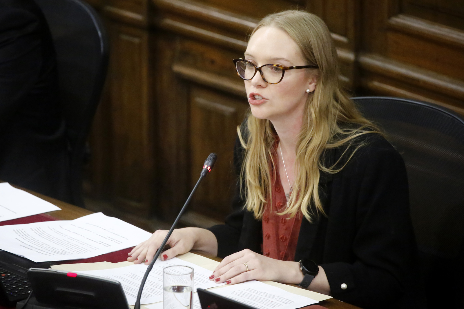 Beatriz Hevia en el Consejo Constitucional.