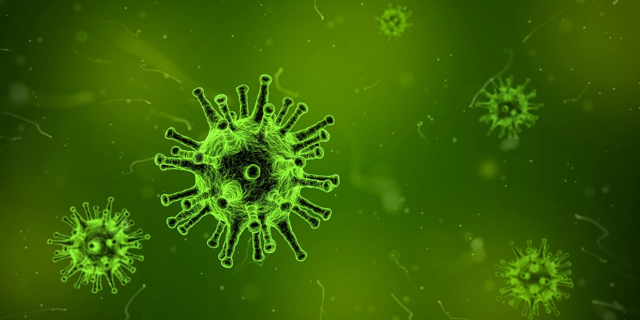 Imagen referencial de virus sincicial.