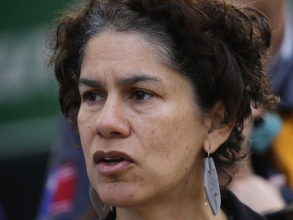 Ministra del Medio Ambiente Maisa Rojas