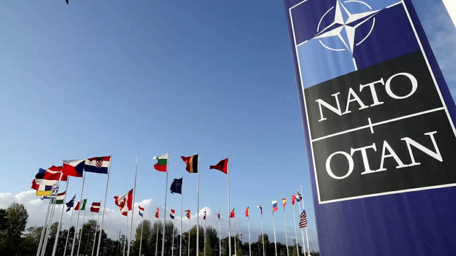Logo OTAN. Banderas de la OTAN.