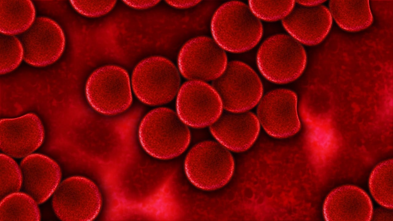 Representación gráfica de glóbulos rojos.