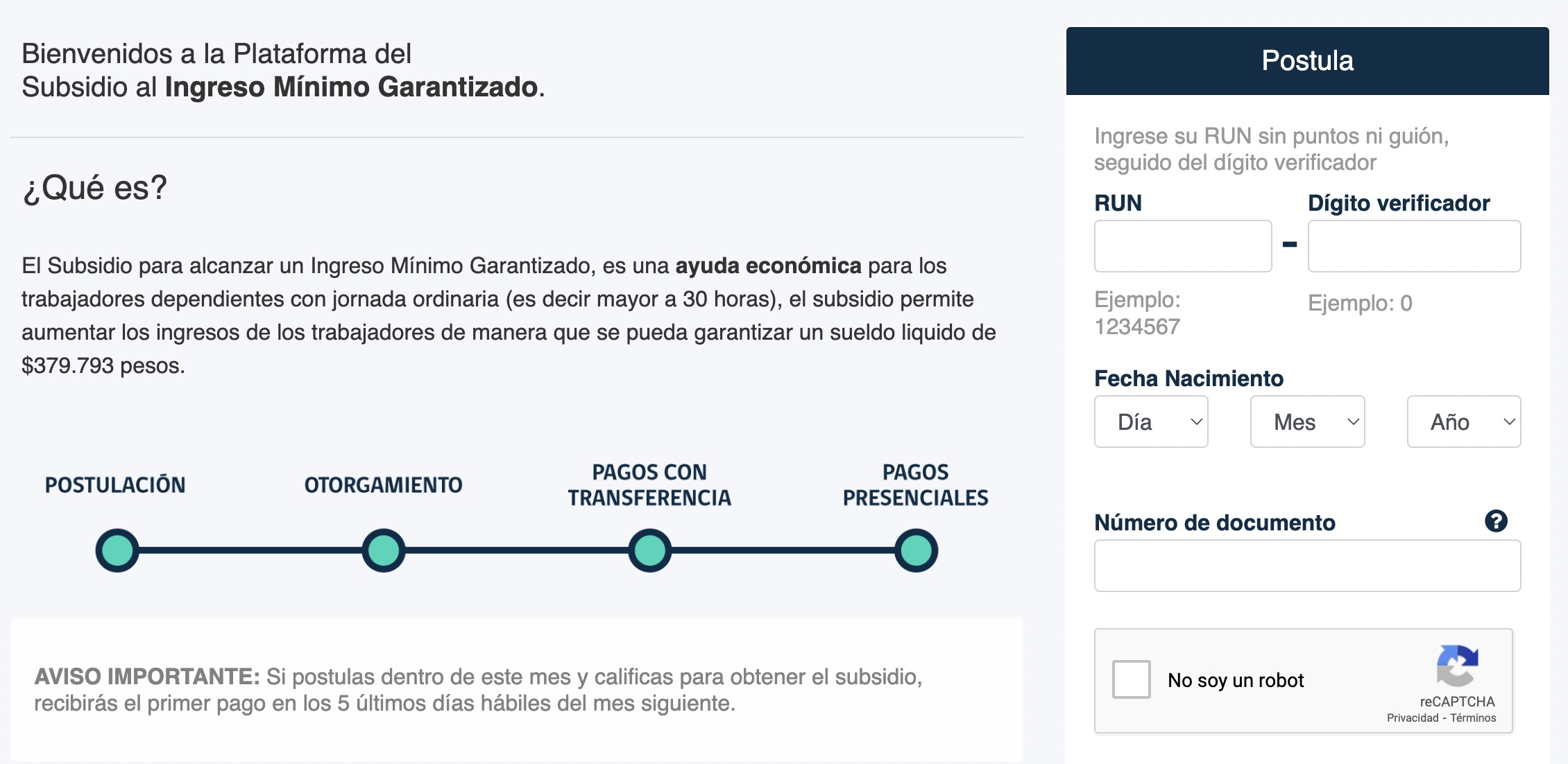 Captura del sitio del IMG para postular