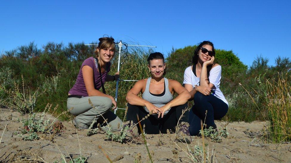 Tres de las científicas del equipo: Camila Deutsch, Gabriela Agostini y Sofía Perrone