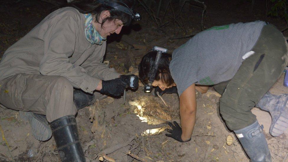 Las investigadoras trabajando durante la noche