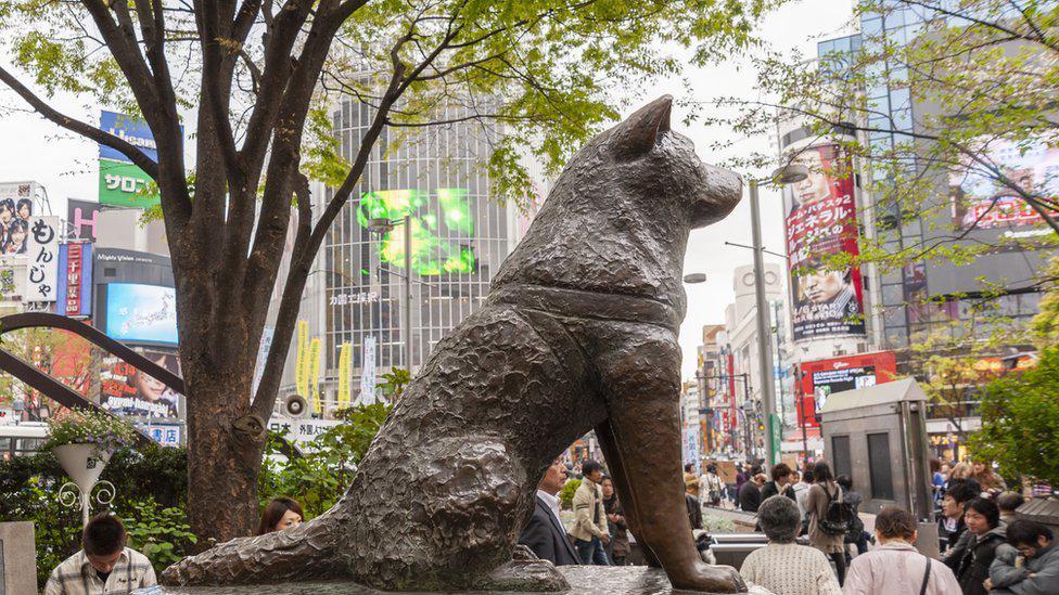 La estatua de Hachiko.