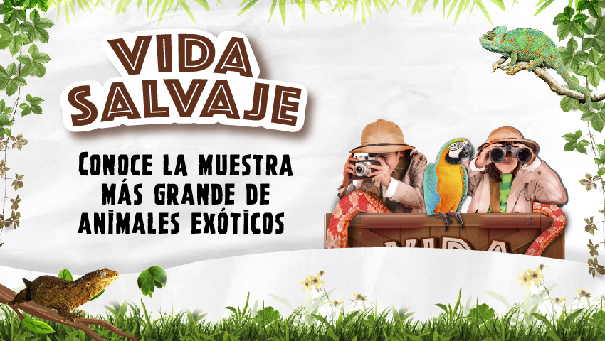 Evento Vida Salvaje