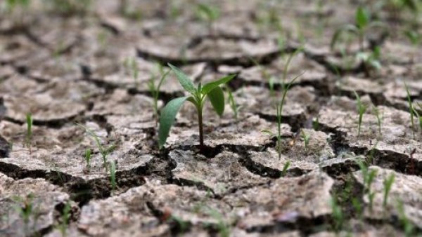 Sequía.