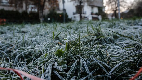 Pasto con helada en la región Metropolitana.