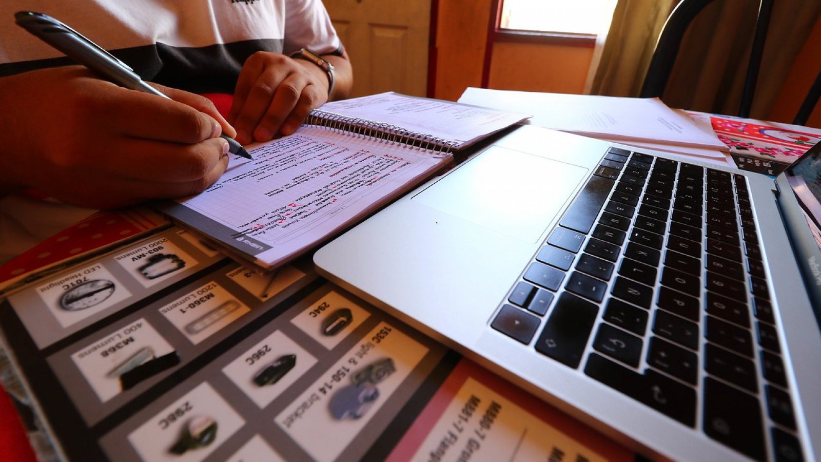 Estudiante ocupando un computador