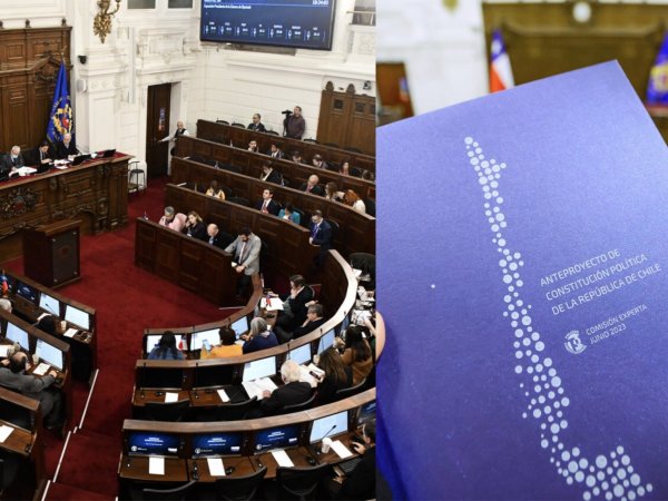 Consejo Constitucional y libro del anteproyecto de la Comisión Experta.