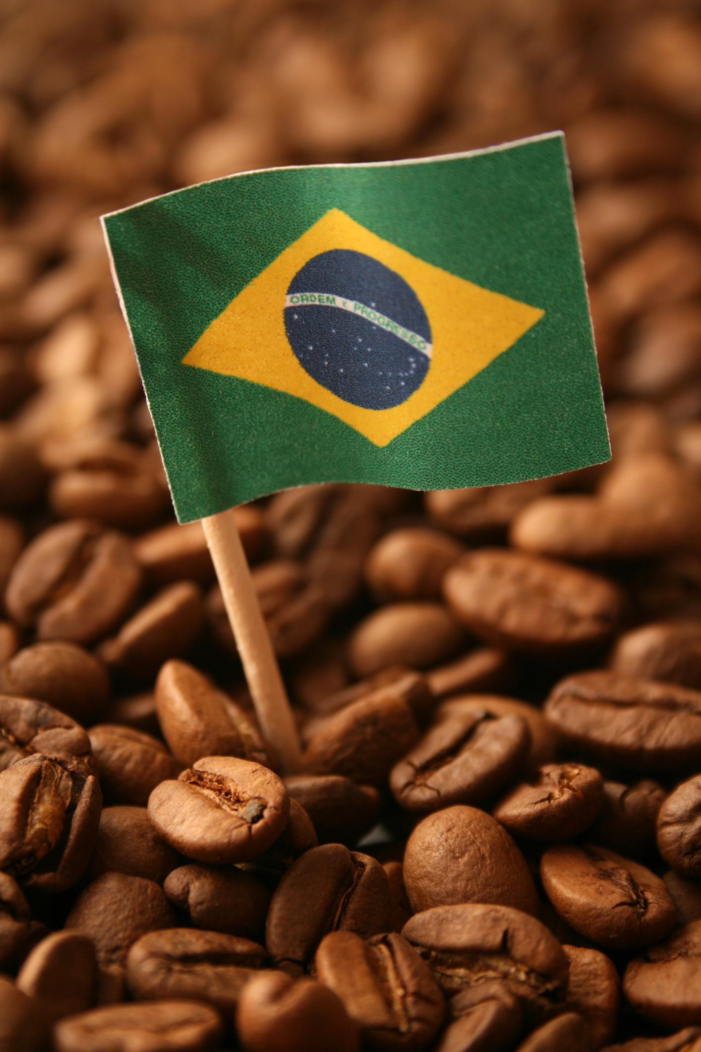 Una bandera de Brasil esta clavada sobre unos granos de café.