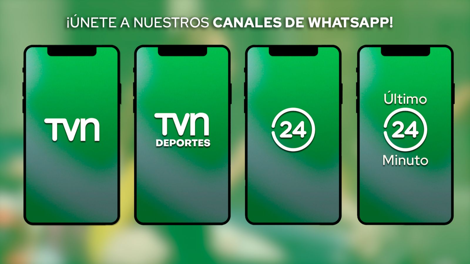 Canales de Whatsapp 24 Horas y TVN.