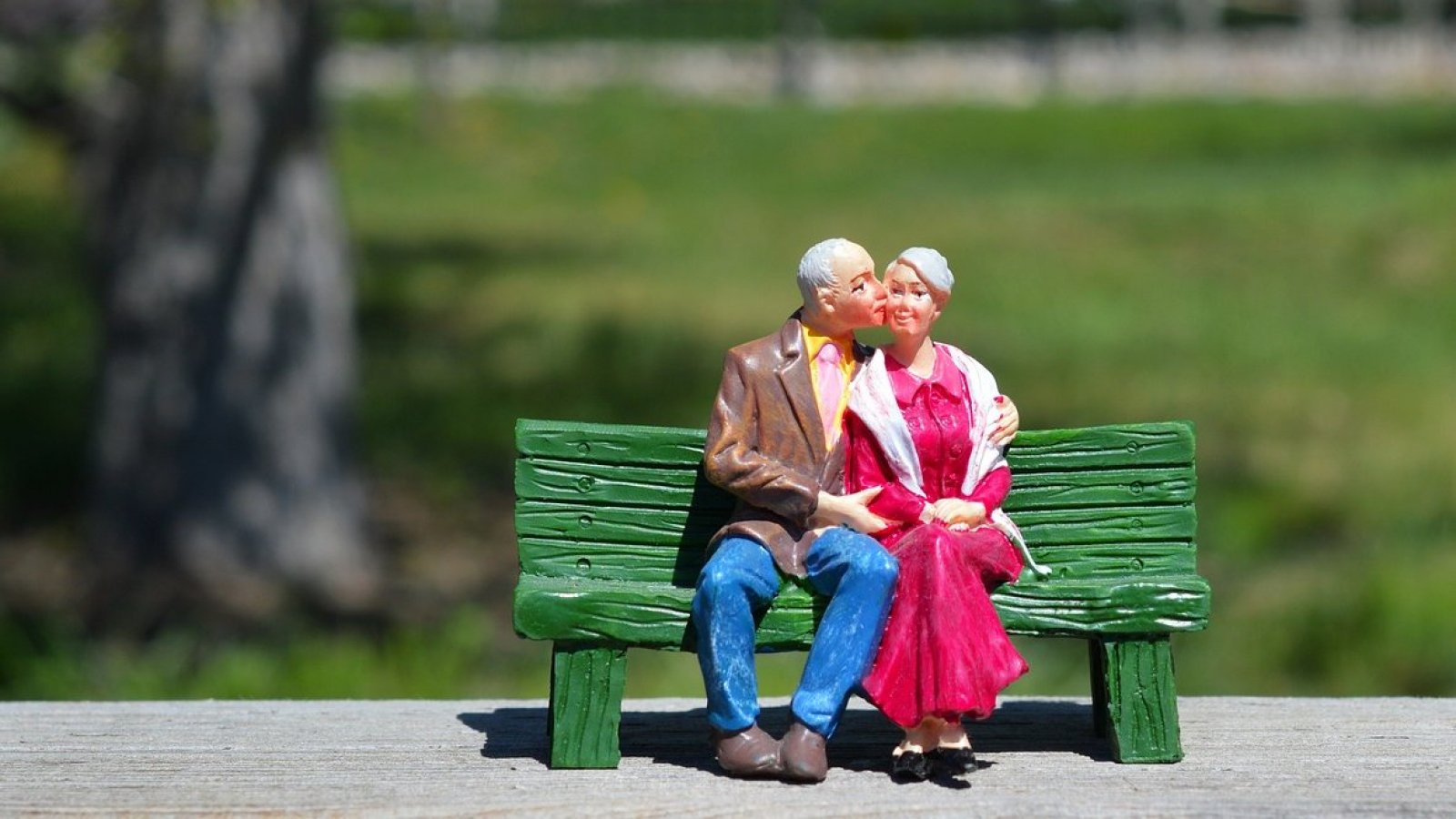 Bonos. Bodas de Oro. Pareja de adultos mayores.