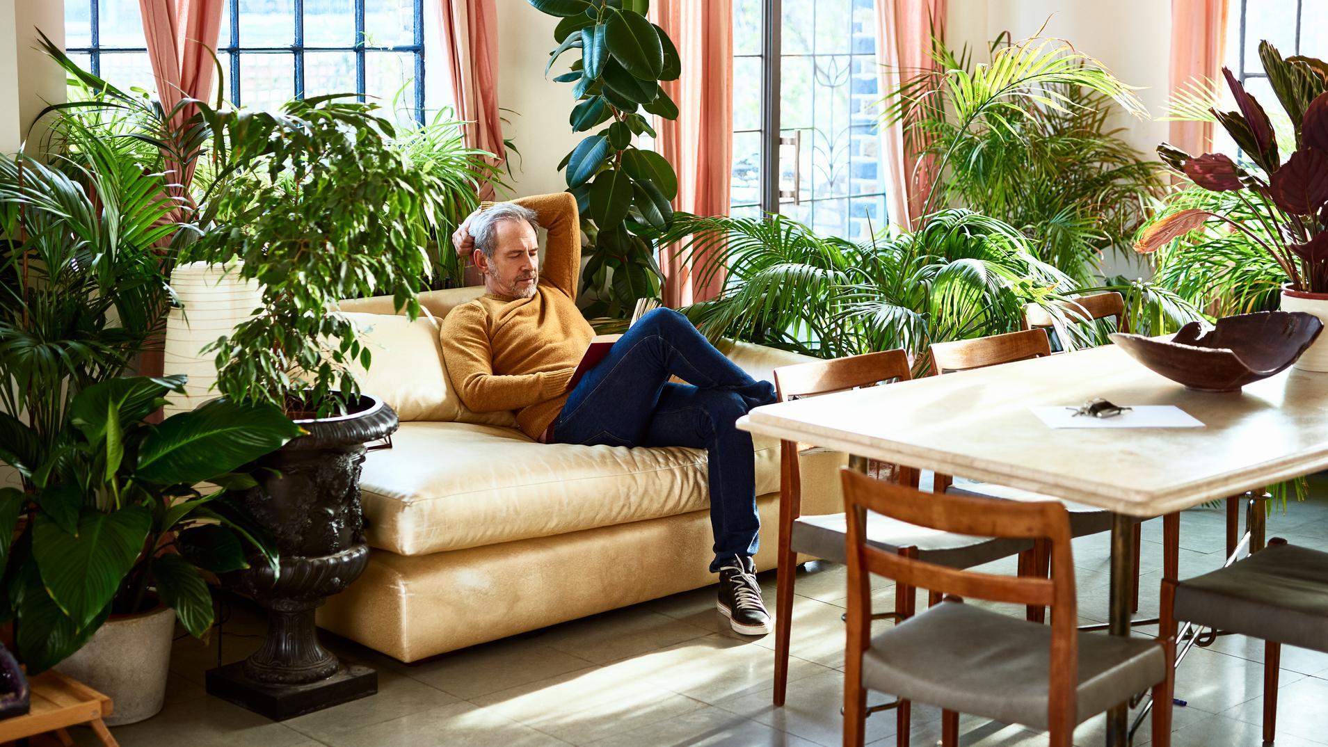 Sala con plantas