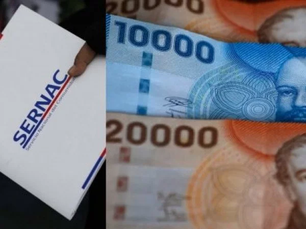 Carpeta. Logo. Sernac.