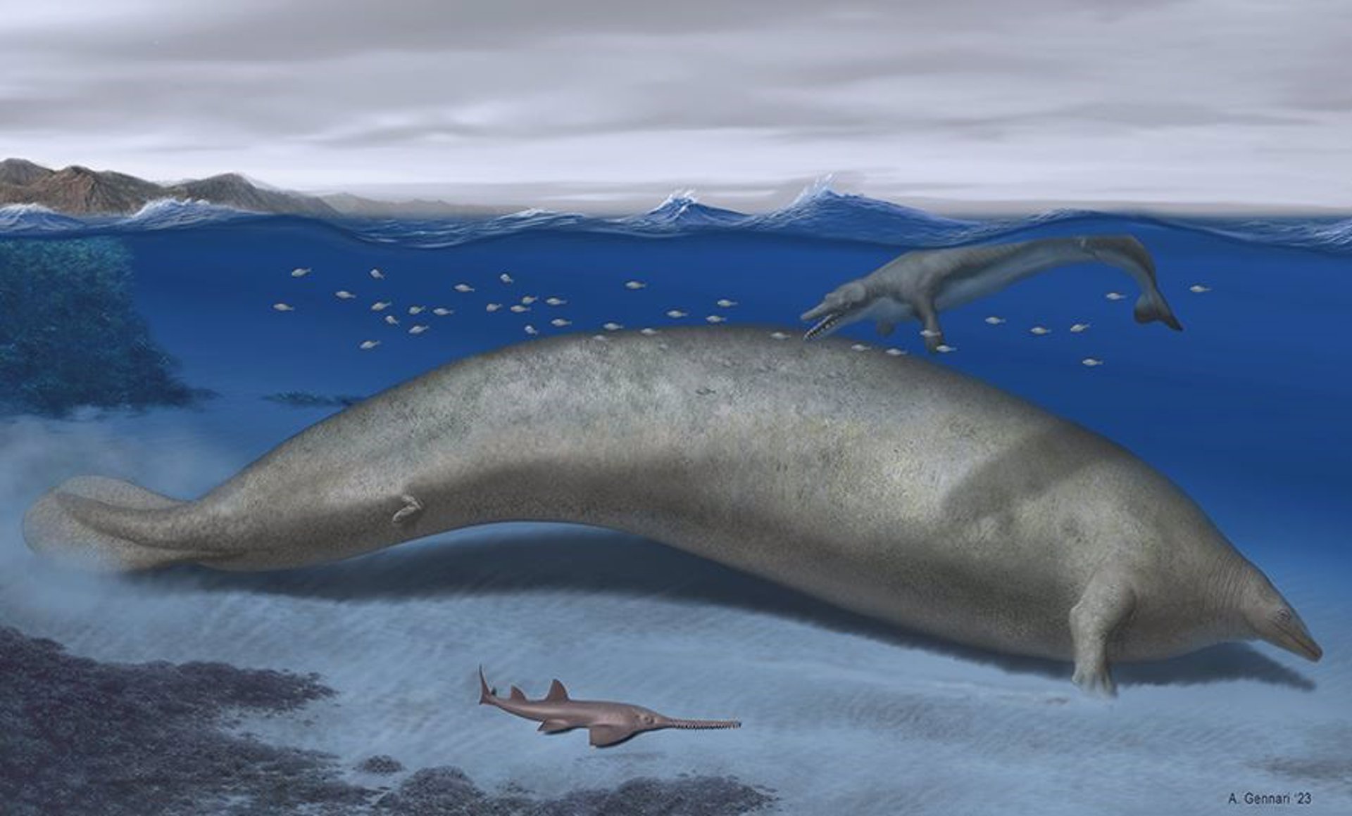 Reconstrucción artística de la ballena Perucetus colossus