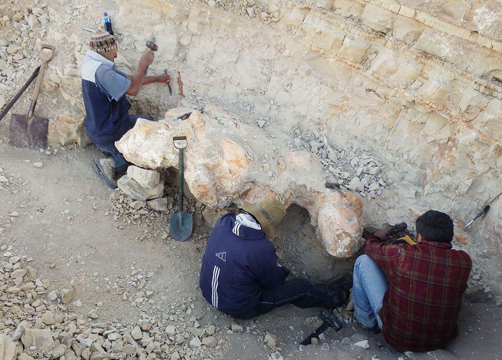 Investigadores al lado de los fósiles. 