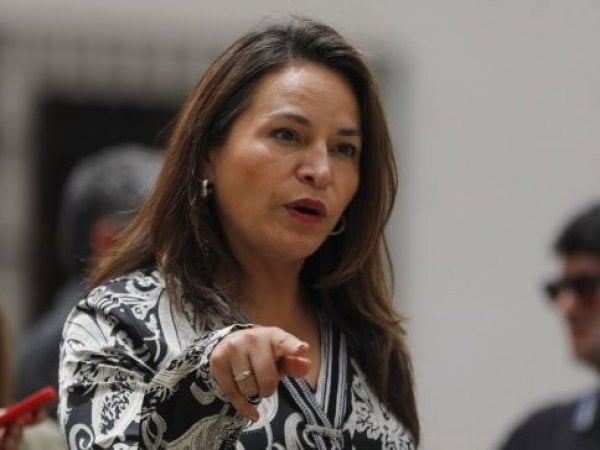 Diputada Joanna Pérez