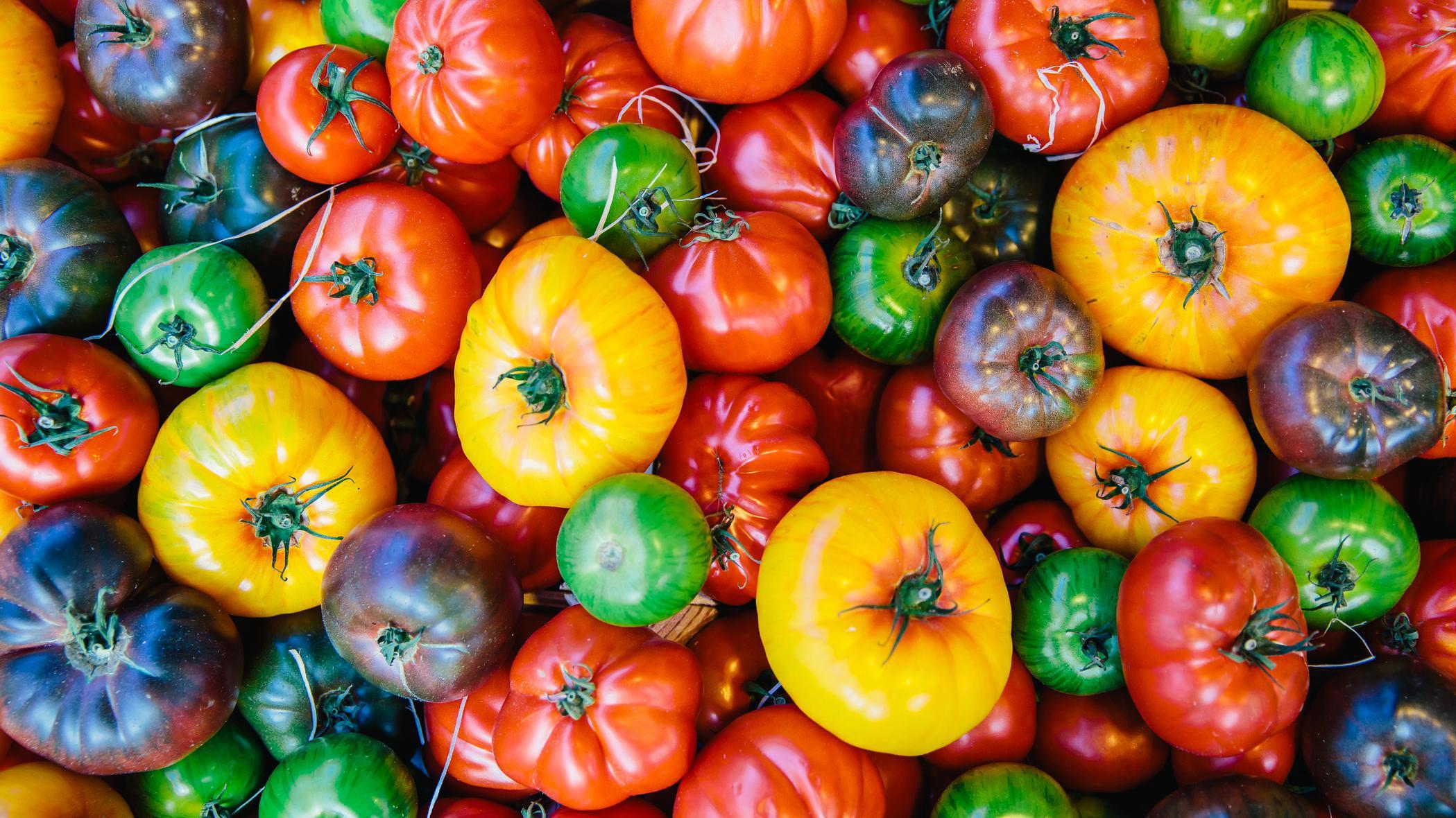 Tomates de distintos colores