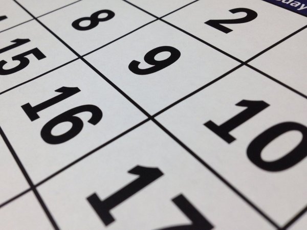 Calendario. Feriado 10 de agosto