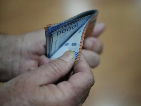 Bolsillo Familiar Electrónico. Compras. Alimentos.