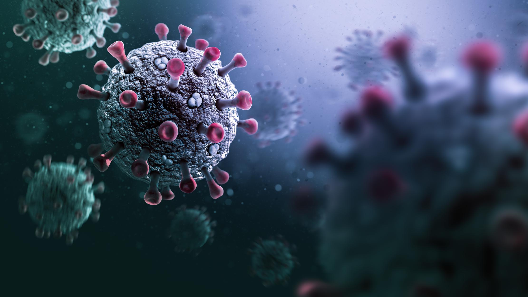 Virus