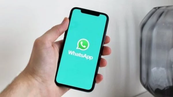 Celular. Whatsapp.
