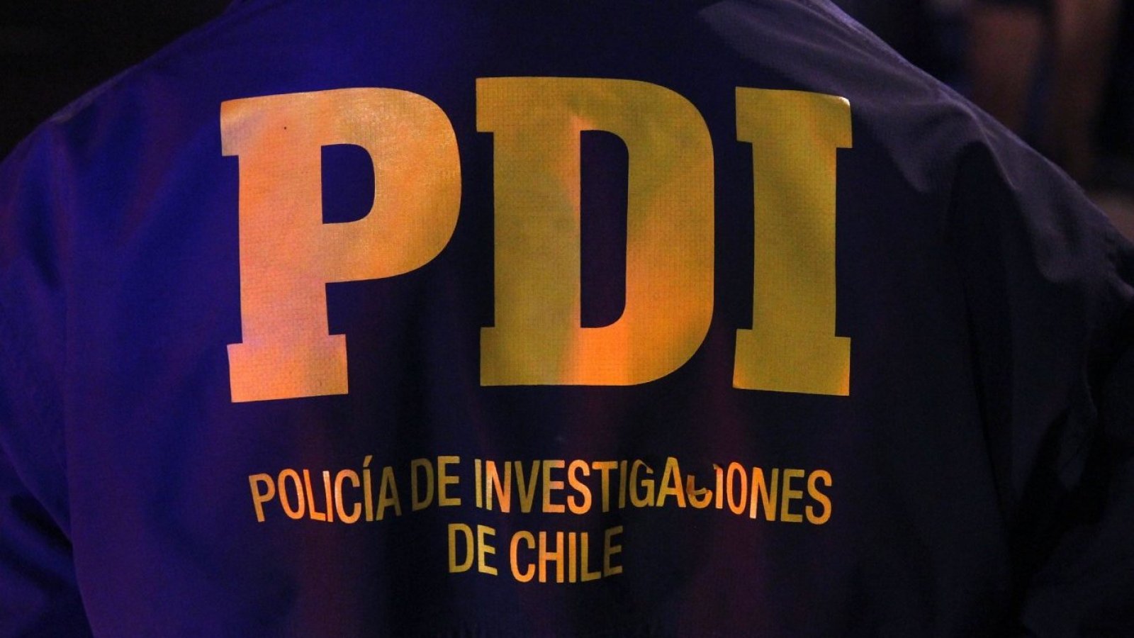 PDI. Logo.