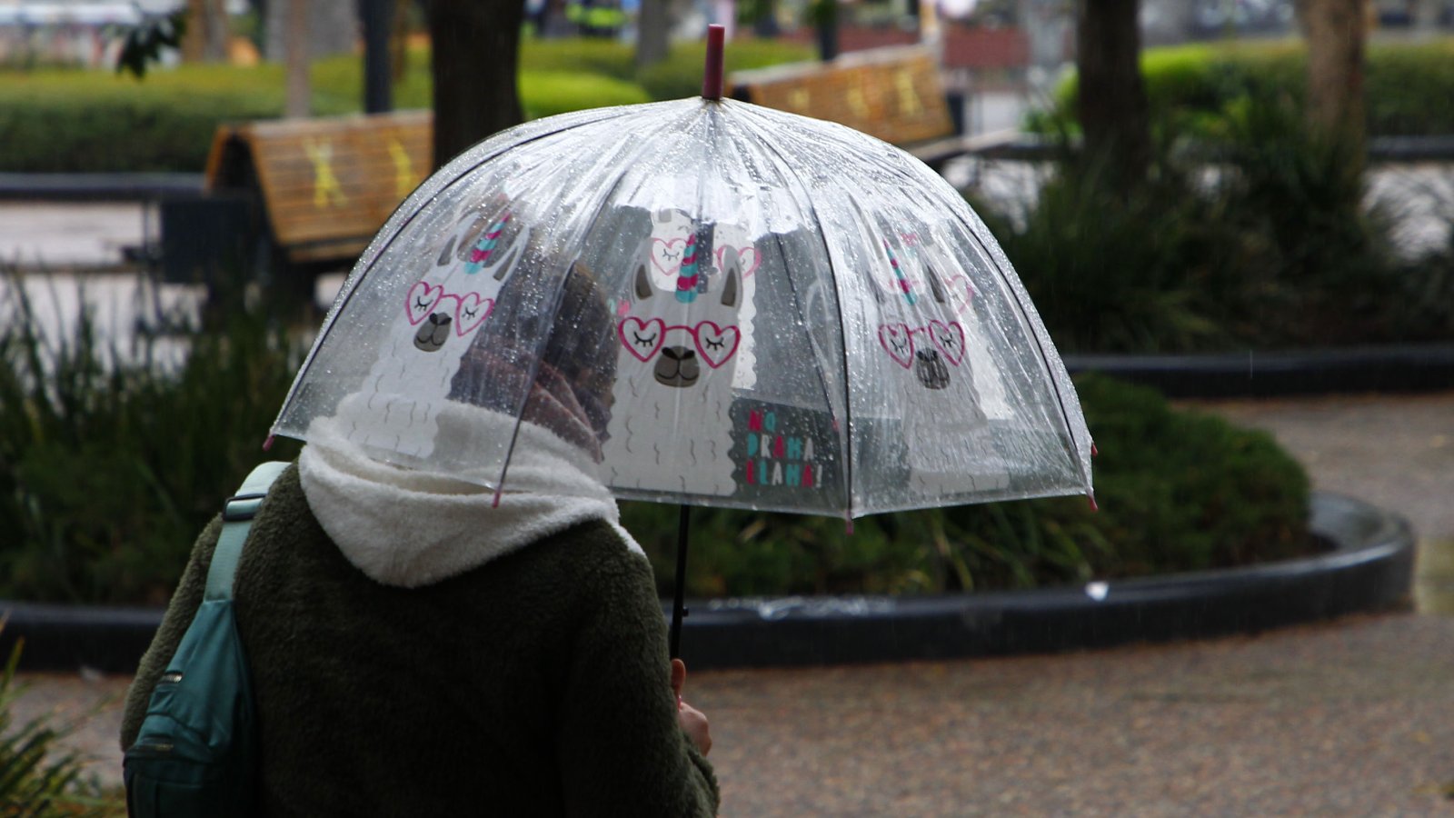 Joven con paraguas en medio de la lluvia en Santiago