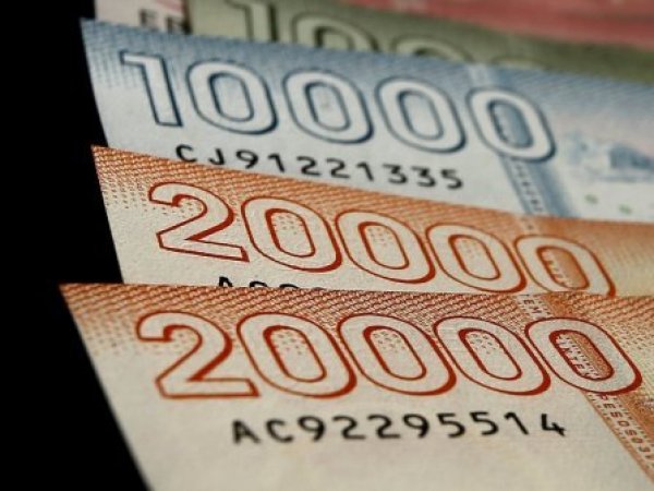 Bolsillo Familiar Electrónico. Billetes.