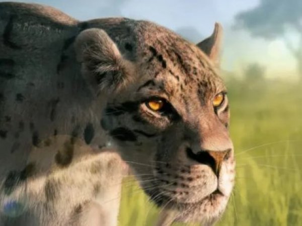 Tigre dientes de sable.