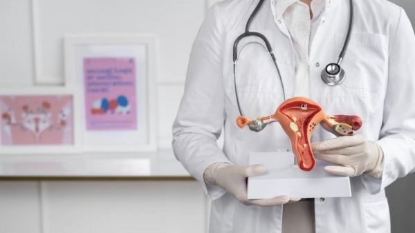 Doctora sosteniendo figura de útero. Trasplante de útero