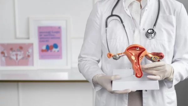 Doctora sosteniendo figura de útero. Trasplante de útero