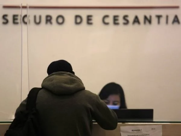 Seguro de Cesantía. Oficina.