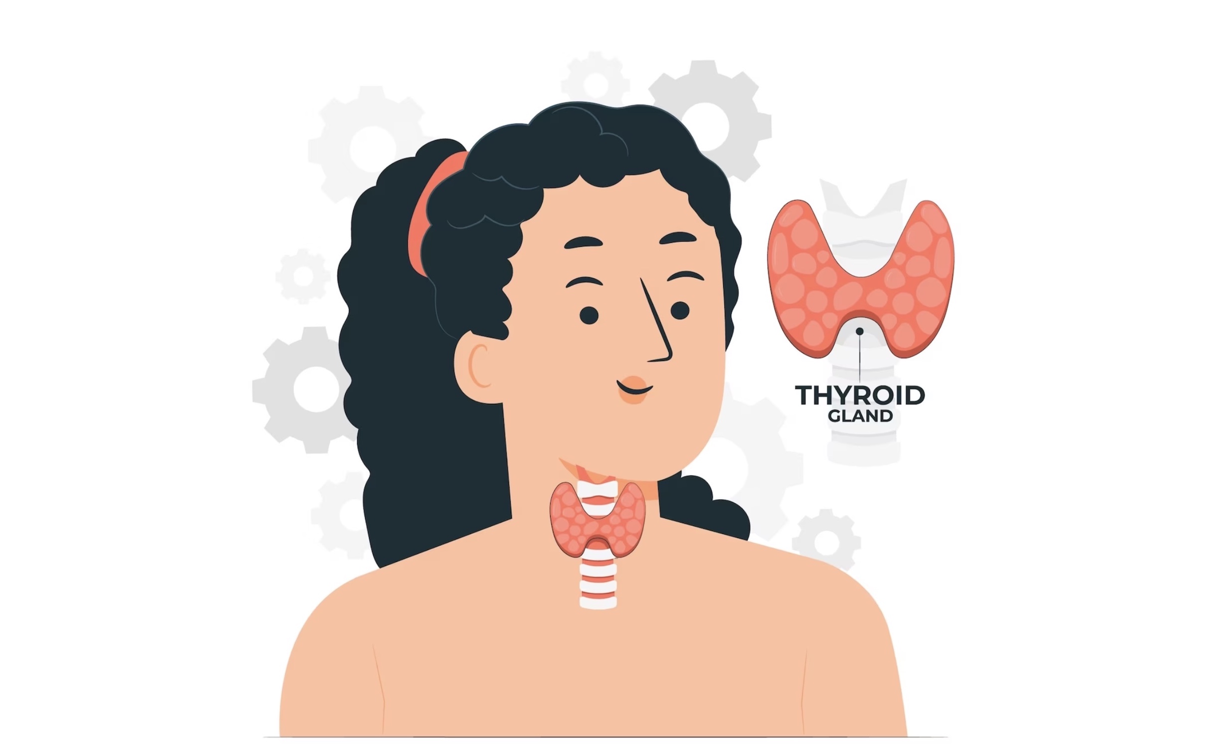 Glándula tiroides. Hipotiroidismo.
