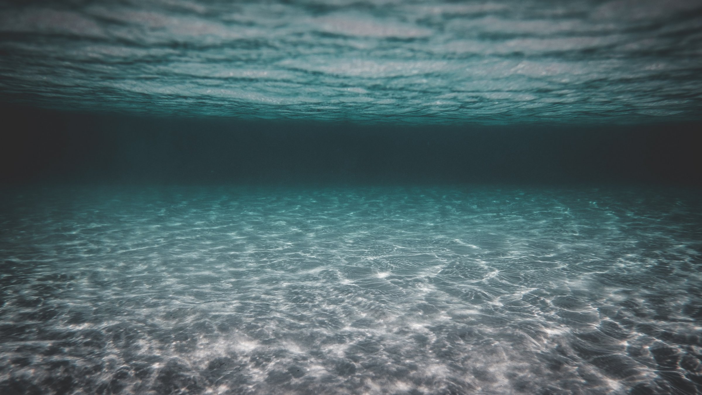 Ecosistema marino. Cambio climático. 