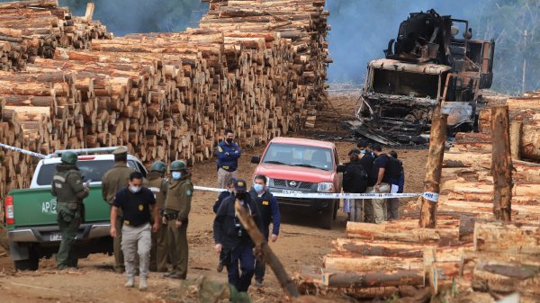 Ataque incendiario en La Araucanía